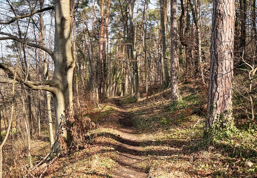 23-03-17 10-56-29 4883